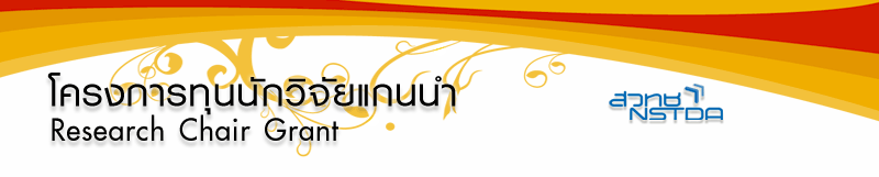 โครงการทุนวิจัยแกนนำ โครงการทุนวิจัยแกนนำ